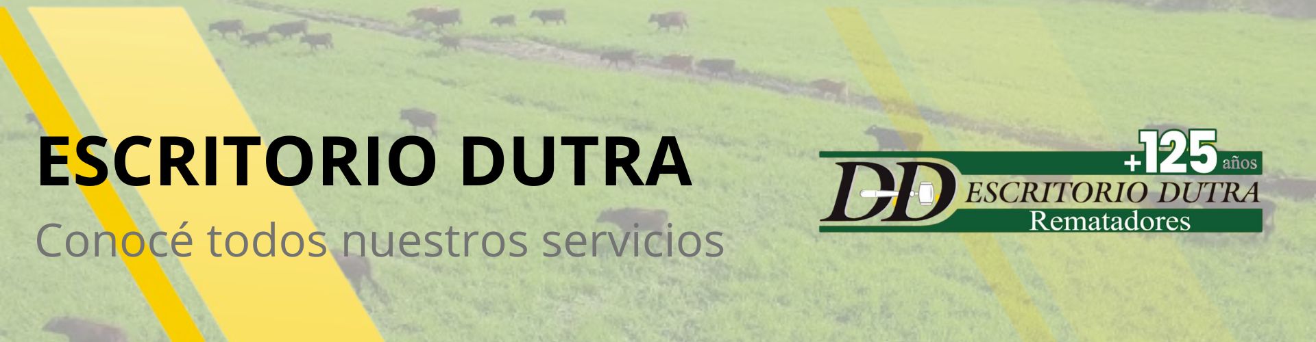 Banner Web
